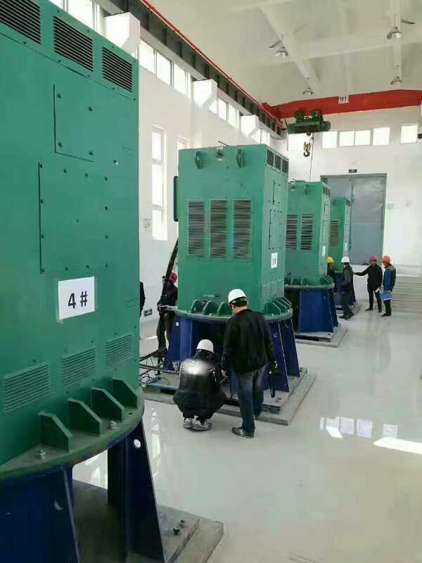 YKK6301-4某污水处理厂使用我厂的立式高压电机安装现场
